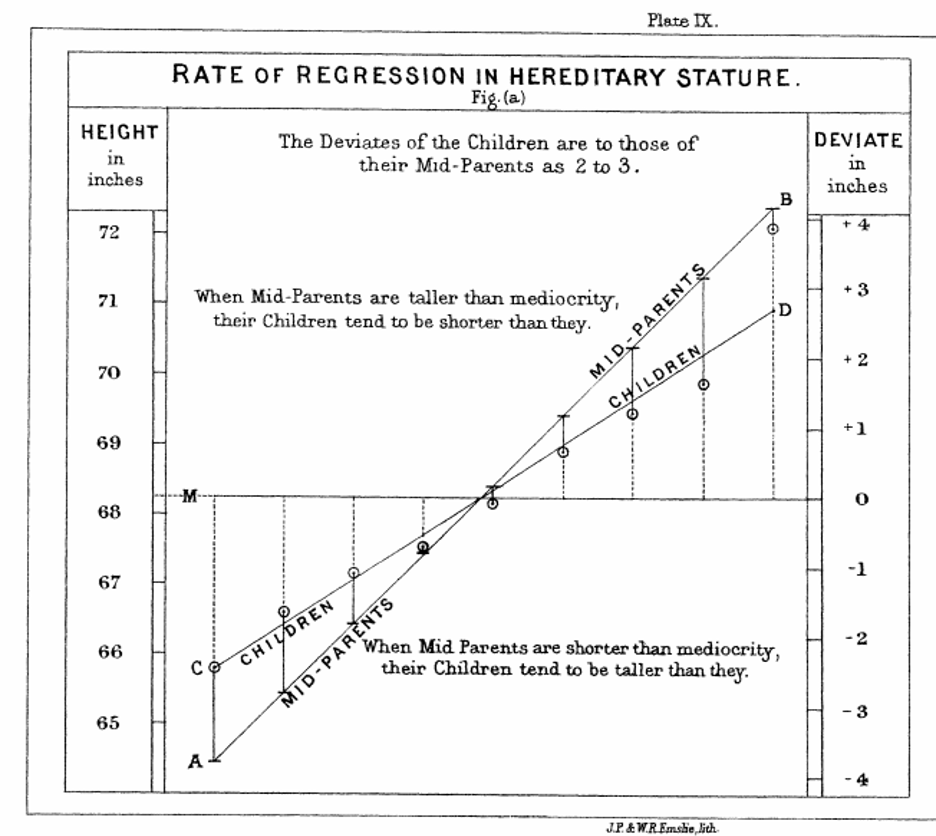 Регрессия роста. Гальтон закон регрессии. Фрэнсис Гальтон корреляция. Регрессия к среднему. Статистическую регрессию к среднему.