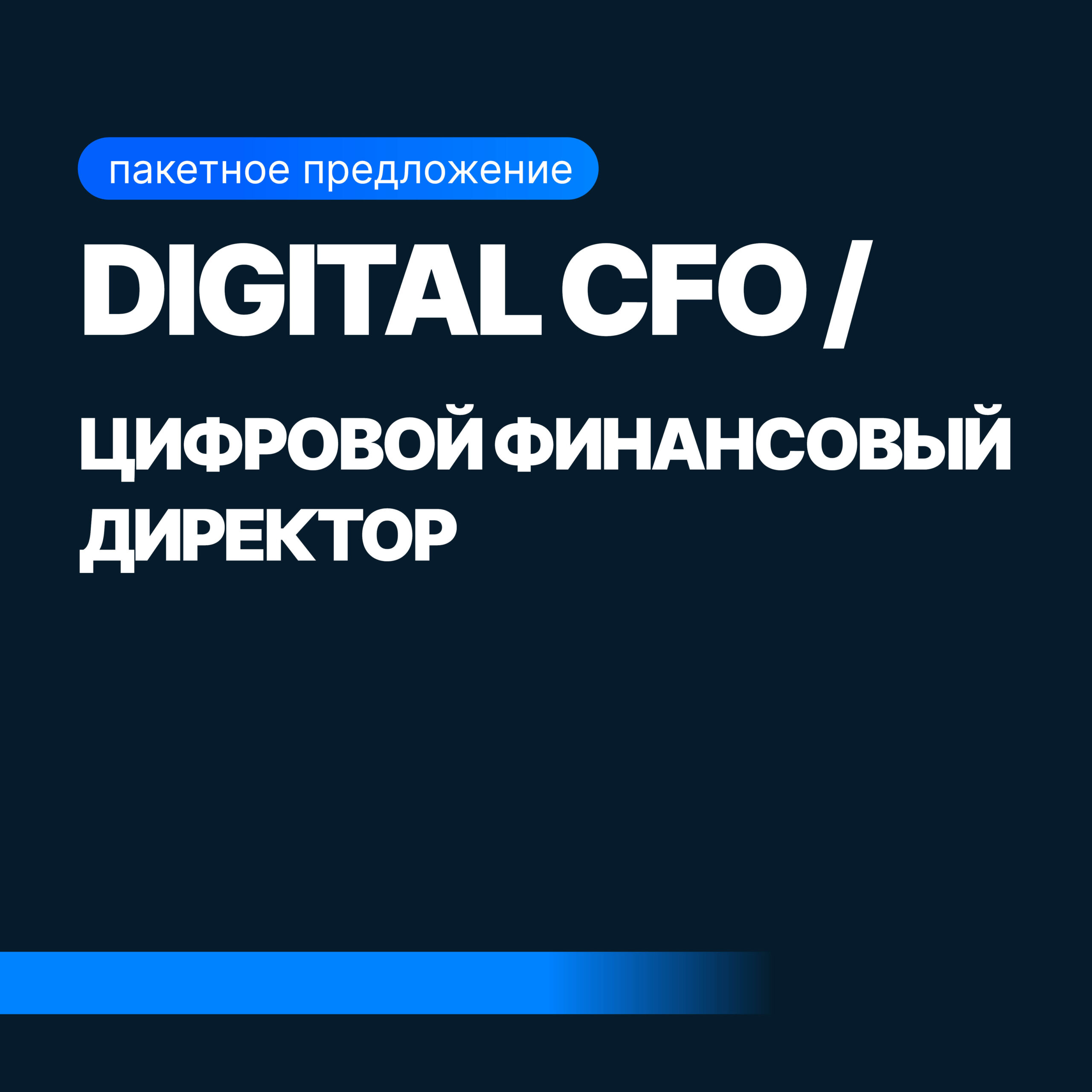 Digital CFO (Финансовый Директор + Бизнес-аналитик) финансовый аналитик